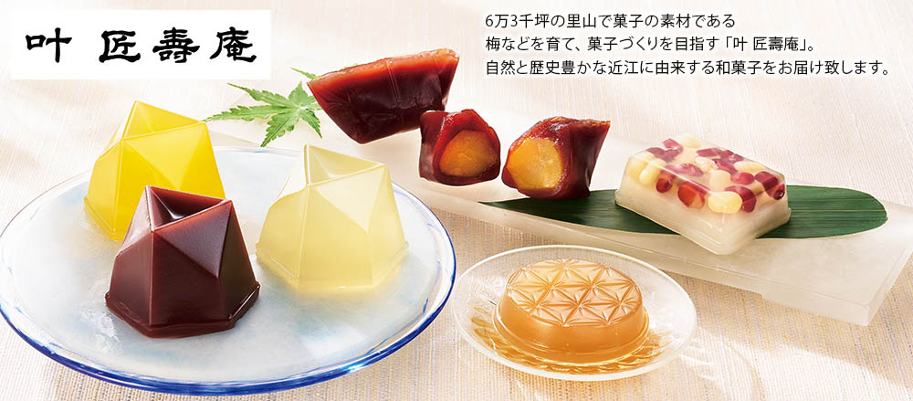 商品説明