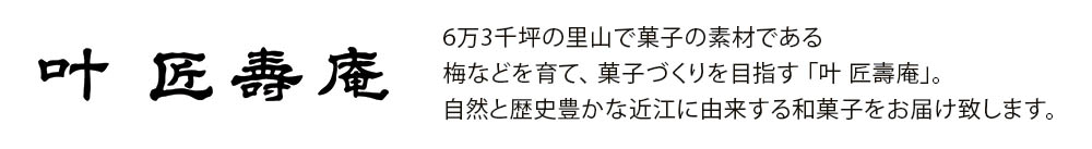 商品説明