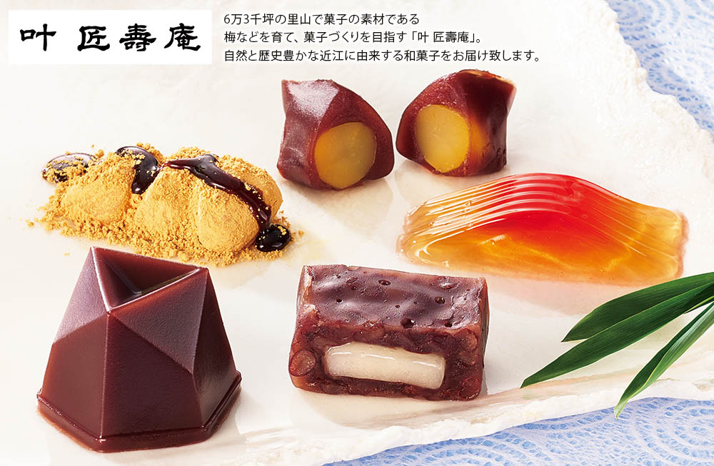 商品説明