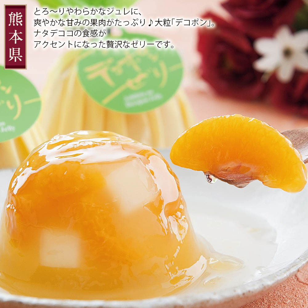 商品説明