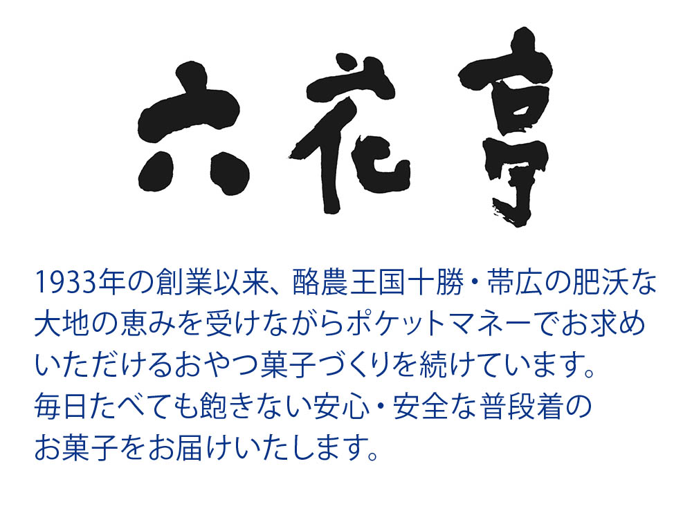 商品説明