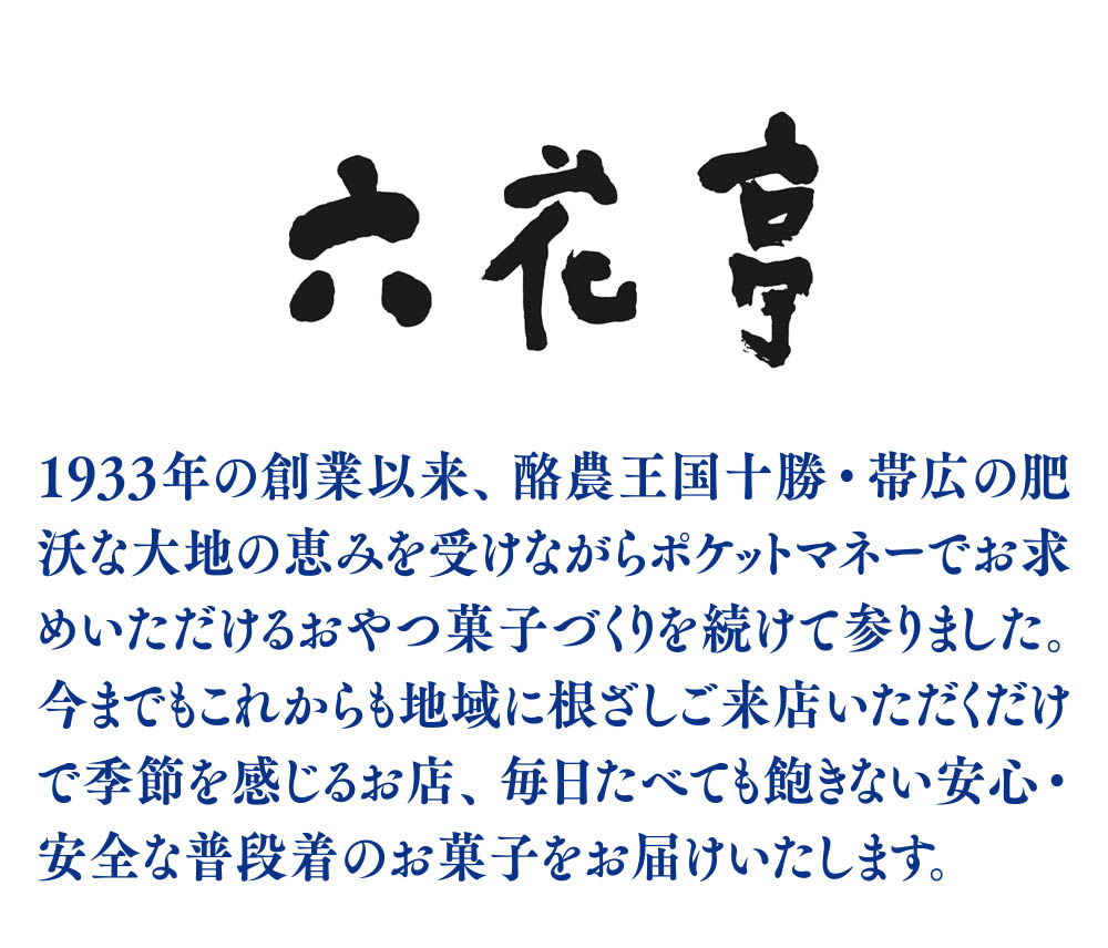 商品説明