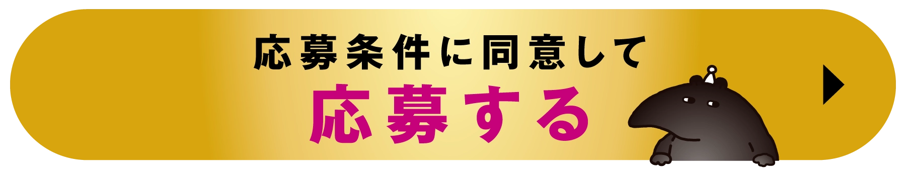 応募条件に用意して応募する
