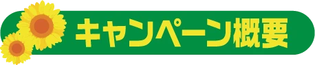 キャンペーン概要